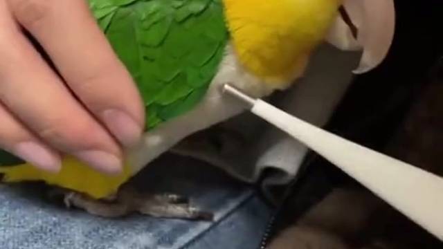 还是穿羽绒的暖和