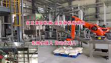 氢氧化铵自动拆垛机 全自动拆垛机械手视频