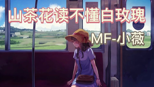 山茶花读不懂白玫瑰