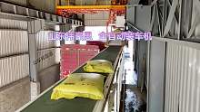 石油焦装车机械手 袋料全自动装车机