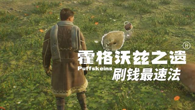 【霍格沃兹之遗：刷钱最速法！】