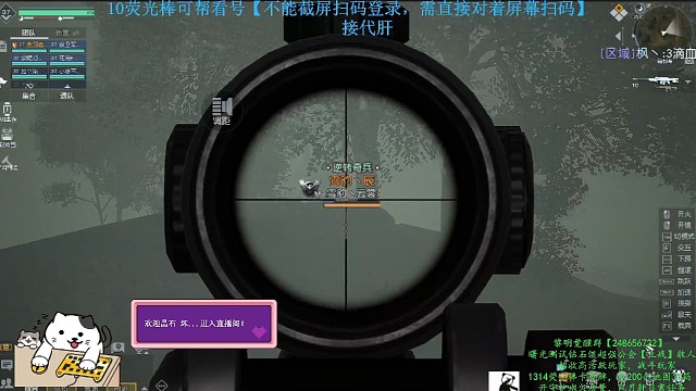 Q6区落日大道辐射岛PK雪豹，几百击杀无敌输出