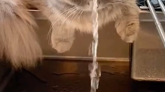 听隔壁老王说，多装点水就聪明了，是真的吗