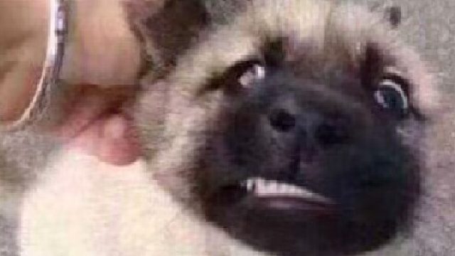 37W行不行啊，白上了吗