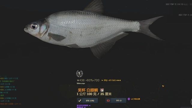 渔夫在线、白眼鲷30图