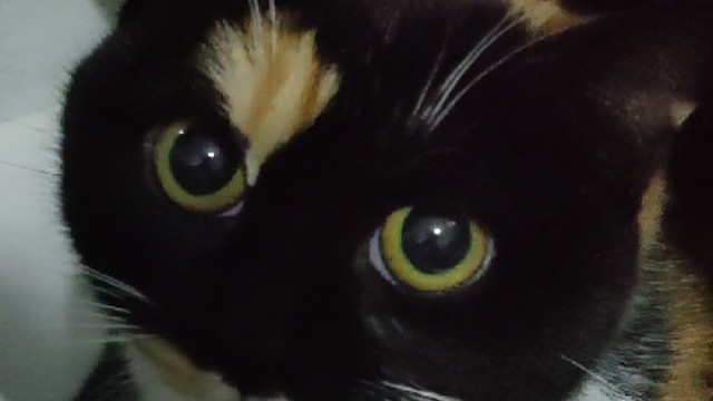 抽屉里很暖和吗？