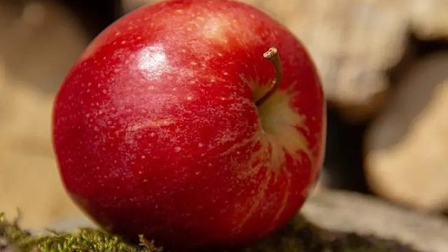 感谢 O老板的16枚鹏he卡哇 吼吼 起飞 起飞飞 无敌的瞬间