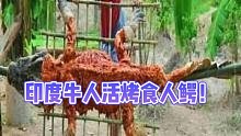 280斤的食人鳄，被印度牛人给活烤了，站在食物链顶端的种族