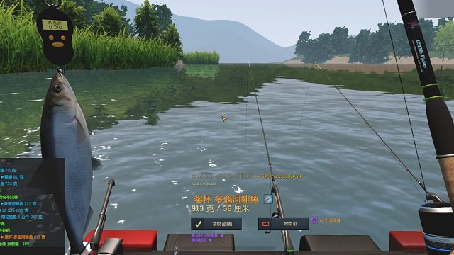 渔夫在线、多瑙河鲱鱼28图