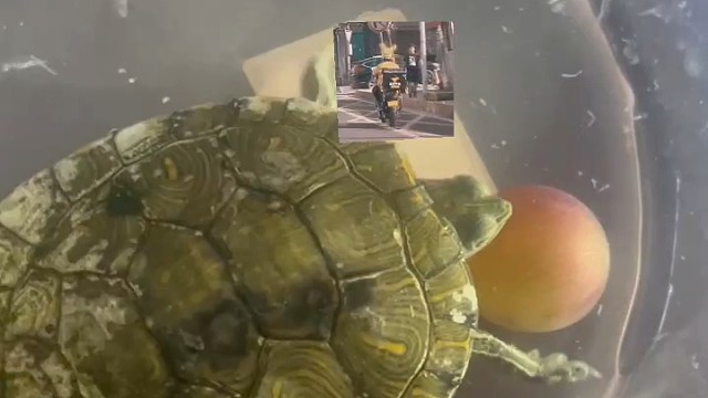 世界上最远的距离不过近在眼前