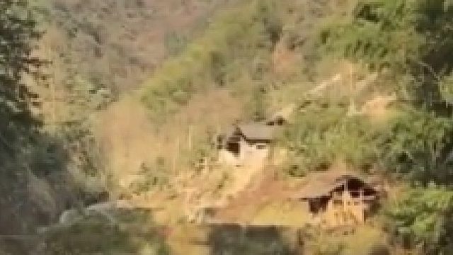 网友：你们家旺财，只听你的！