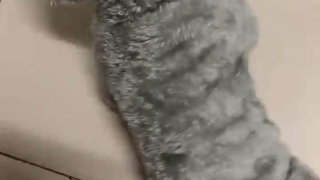 穿上之后就不会动了