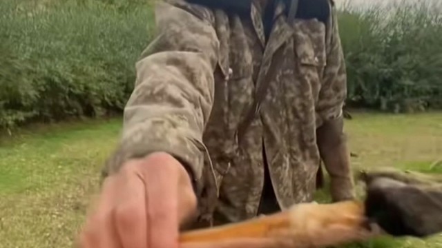 消化能力哪家强？