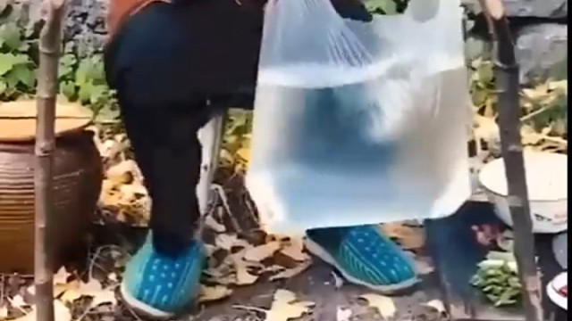 为什么不用锅？