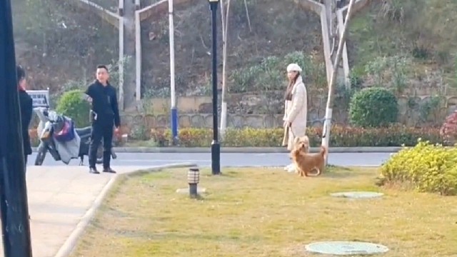 狗未牵绳吓到小朋友，家长气得拿菜刀呵斥女子