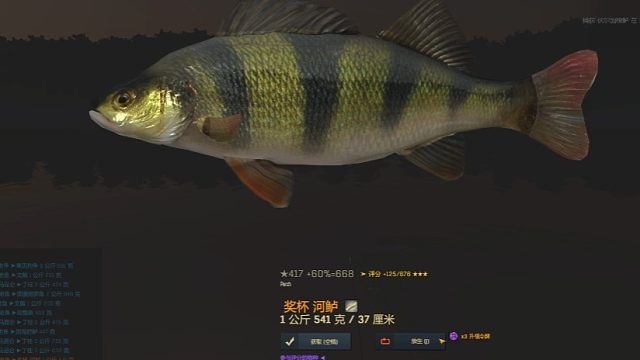 渔夫在线、河鲈30图