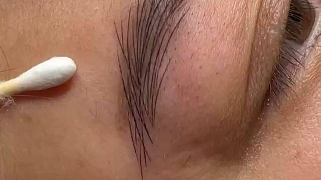 栩栩如生的眉毛