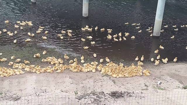 这下好了我成笑话了