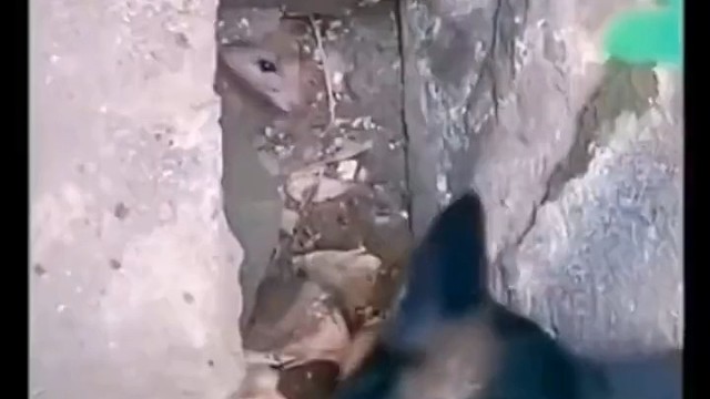 ：这已经不是闲事不闲事的问题了[发怒][发怒][发怒]