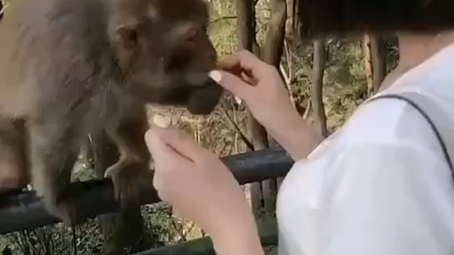 又一张笑容转移到了我的脸上[呲牙]