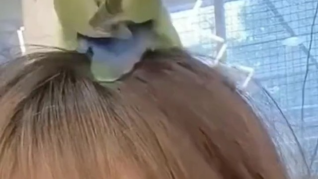 喜欢镜头里的每个故事