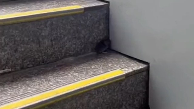 新的一年，一切刚刚好