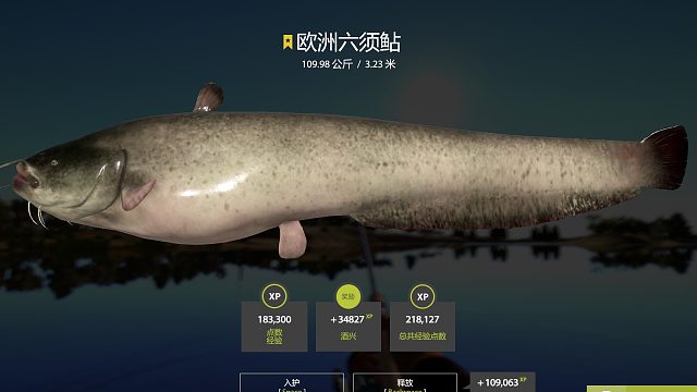 早上9点加班猪。