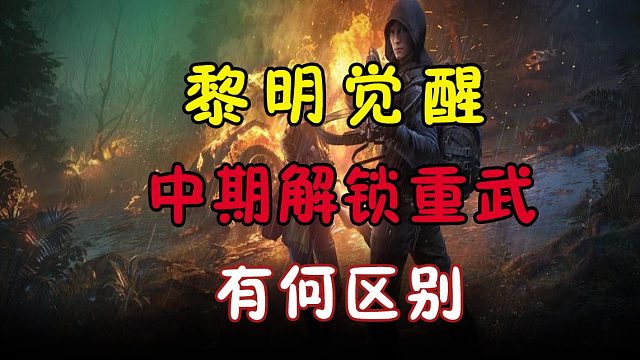 三十级解锁的重型武器有什么区别？