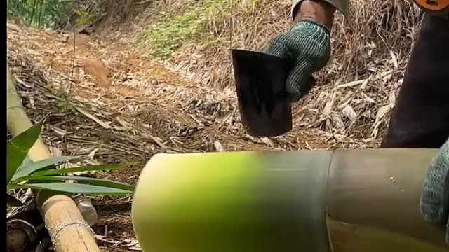 手上的自己吃，框里的京东，地上的并夕夕