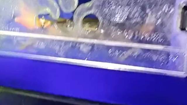 这有钳人的生活？