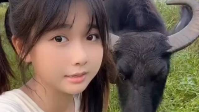 牛：我胃不好，消化不了你画的大饼！