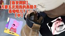 【集梦阿辉】万豪五天没洗的臭鞋子是啥味儿？！（中）