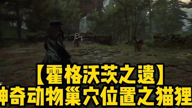 【霍格沃茨之遗】神奇动物巢穴位置之猫狸子