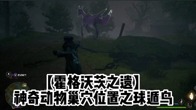 【霍格沃茨之遗】神奇动物巢穴位置之球遁鸟