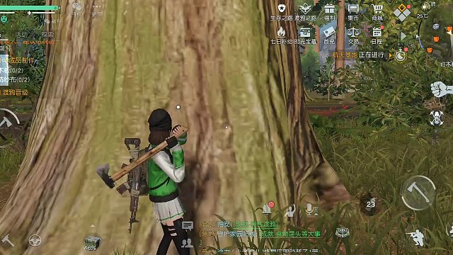 建房子了必备木材