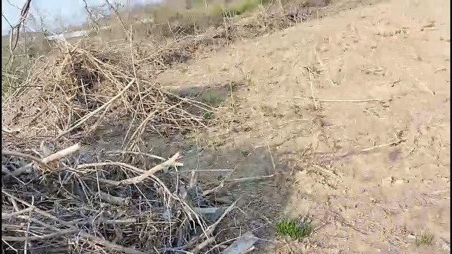 花篮出水的瞬间，心情只有玩的你才懂！
