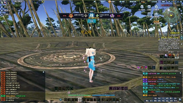 第一视角论剑，从龙VS真武