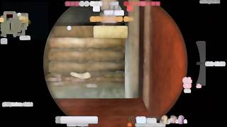 日常五殺拿捏