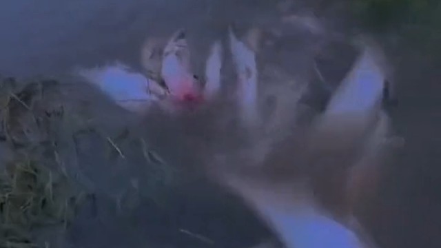 这应该就是独孤求败的感觉吧