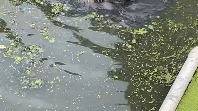 我发布了一个新视频，快来围观吧！