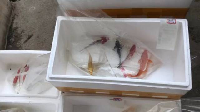 分享打包发货过程！对单装袋-称重添加抗菌消炎营养液-封口-充氧气-封箱！感谢大家的信任与支持