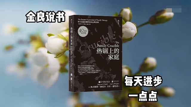 《热锅上的家庭》