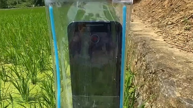 麦田水下是另一个世界