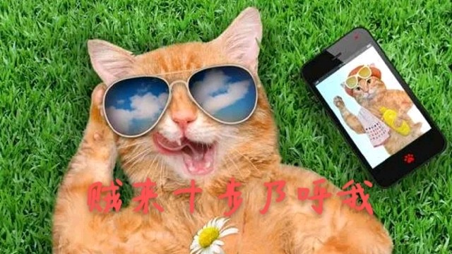 梁红玉她看到了从天而降的戟法