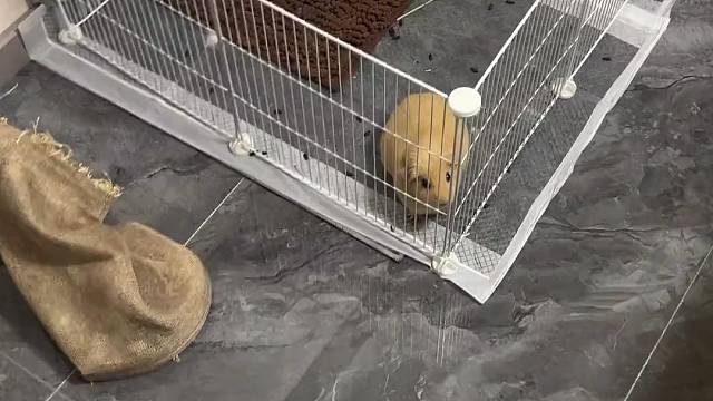 既然喜欢刺激那就贯彻到底