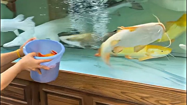 喜欢镜头里的每个故事