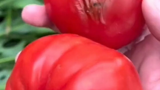 这是什么味道。