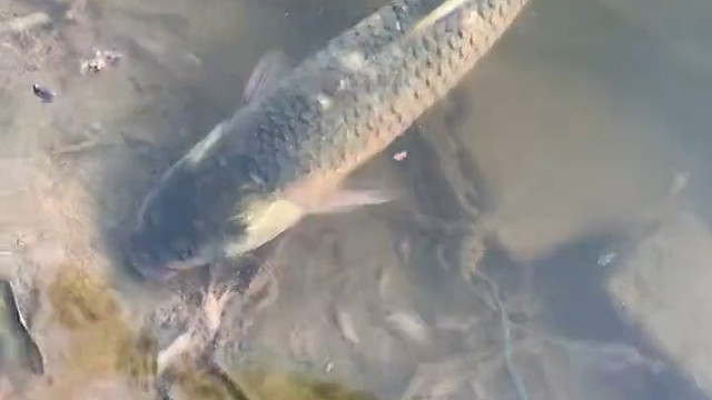 今天可算不空军了