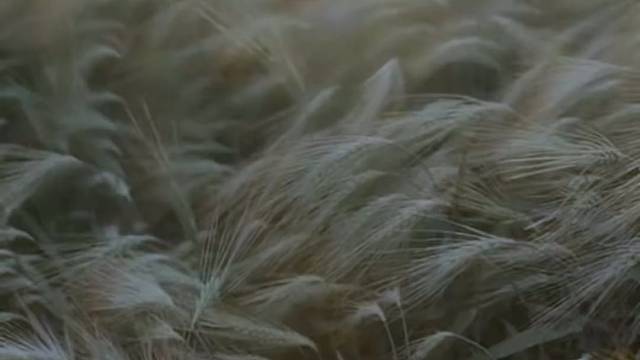 歌曲还在青春已逝！