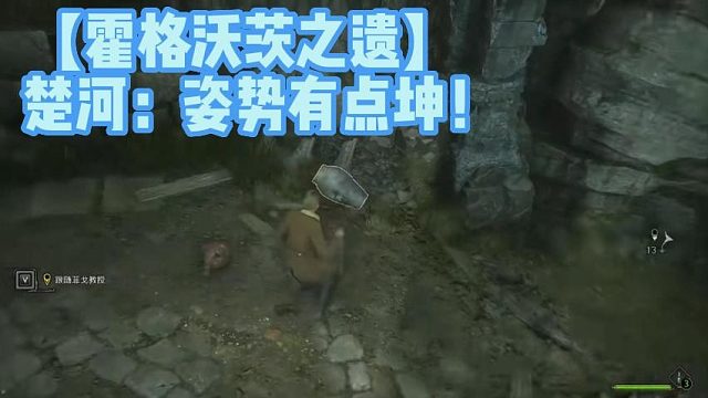 【霍格沃茨之遗】楚河：姿势有点坤！